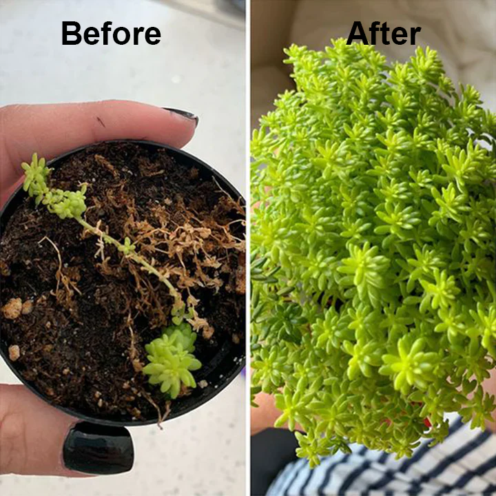 Plant Resurrection Liquid - Image 11