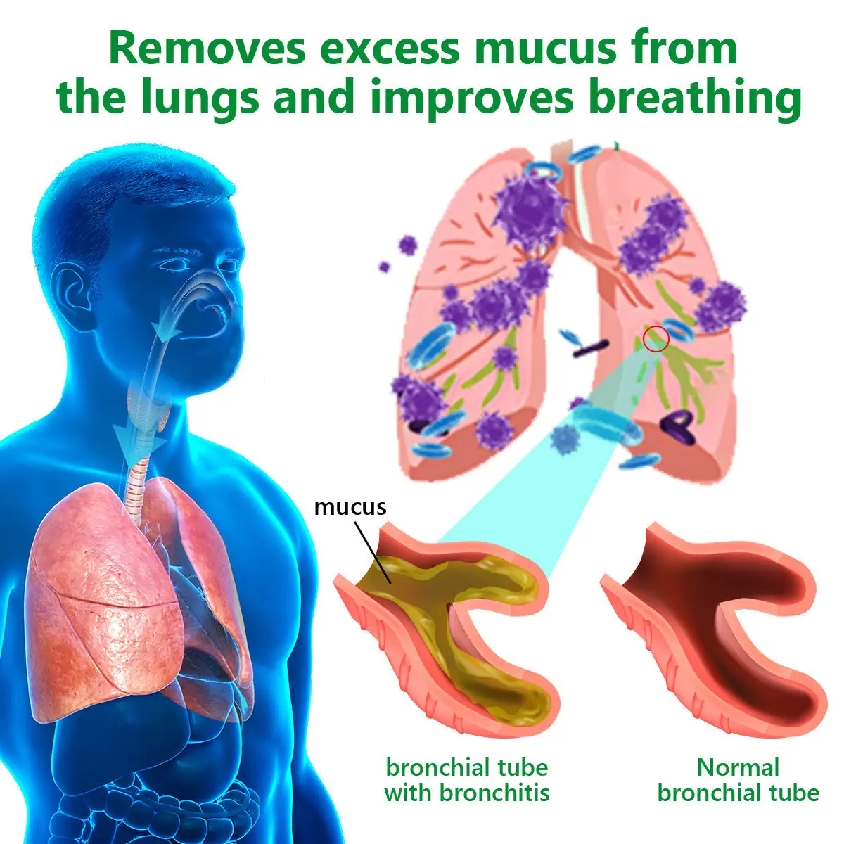 Mullein Clear Lung Repair Cream - Image 13