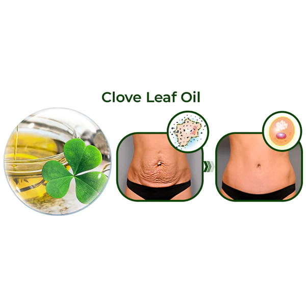 ️ Avocado Ageless Body Cream Scrub - Image 6