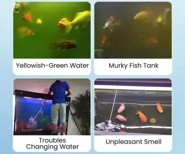 Aquariums Aqua-Guardian Blend - Image 17