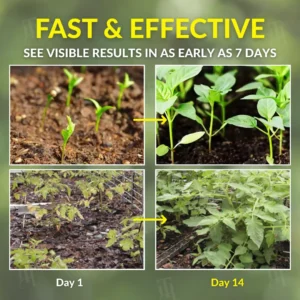 Alternative view of 2 in 1 Vita-Enzyme Solution