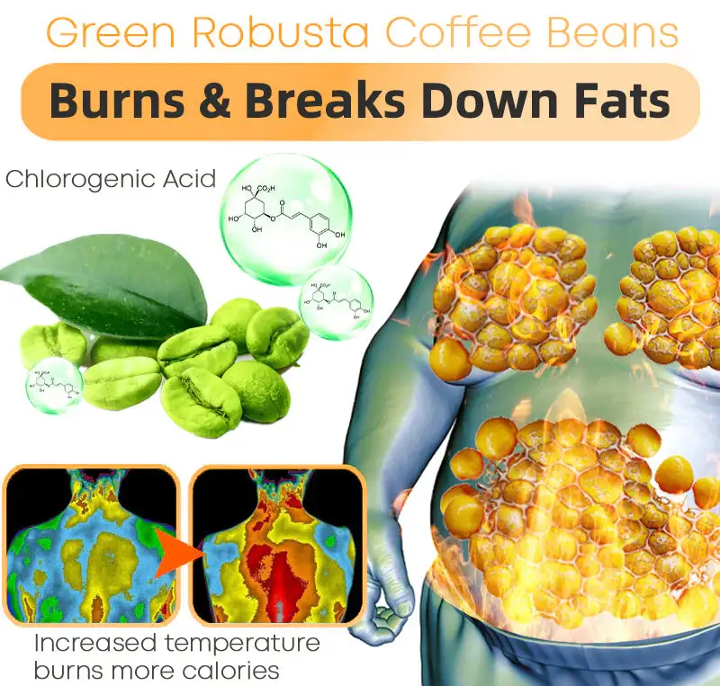 Energy Boost Fat Burning Gum - Image 5