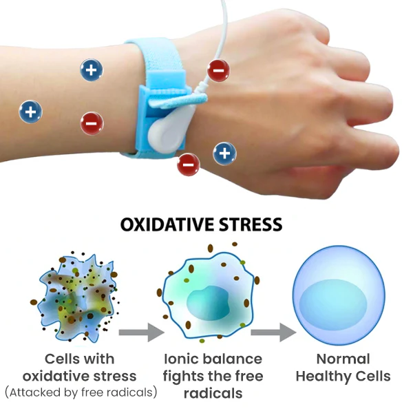 Grounding Bracelet - Image 4