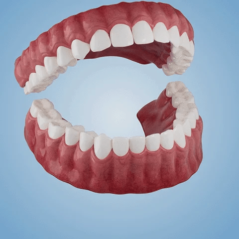 🧡Premium Advanced Customized Full Denture Set 🧡 - Image 10