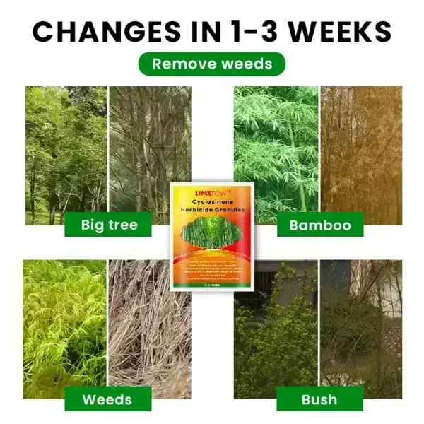 Cyclosinone Herbicide Granules - Image 7