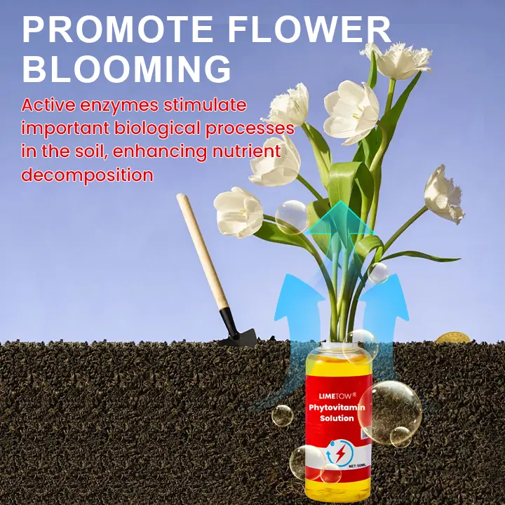 Plant Vitality Elixir - Image 7