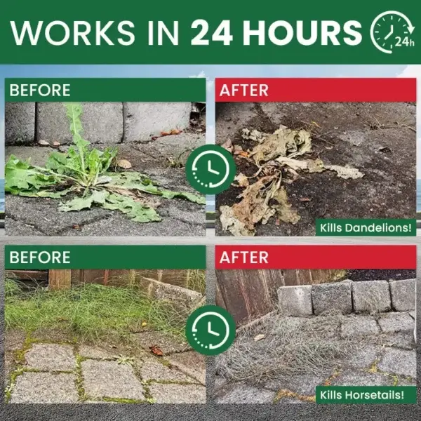 Weed Destruction Powder - Image 12