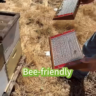 BeeDerm RX Cream - Image 13