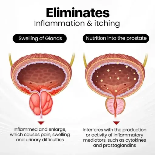 ProstaAir Dual-Function Nasal Inhaler - Image 3