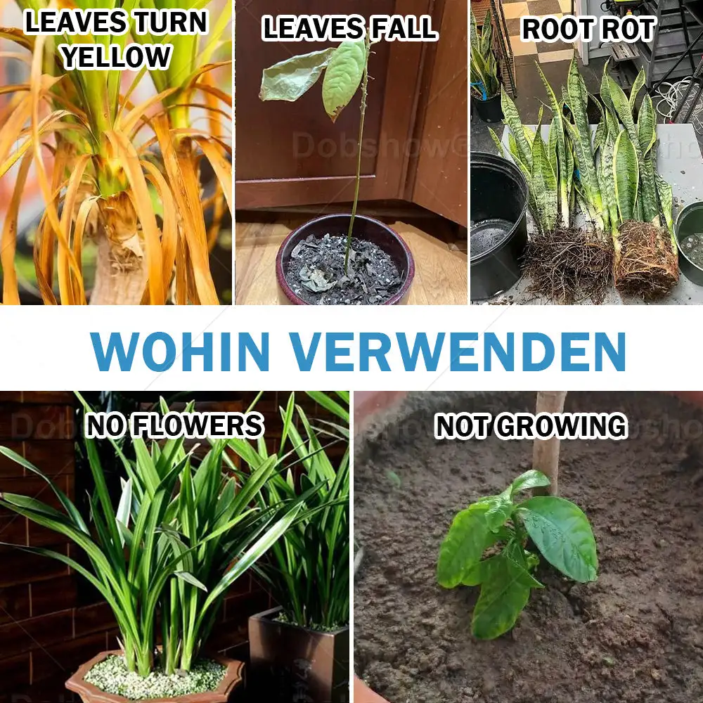 Miracle Tonic - Image 5