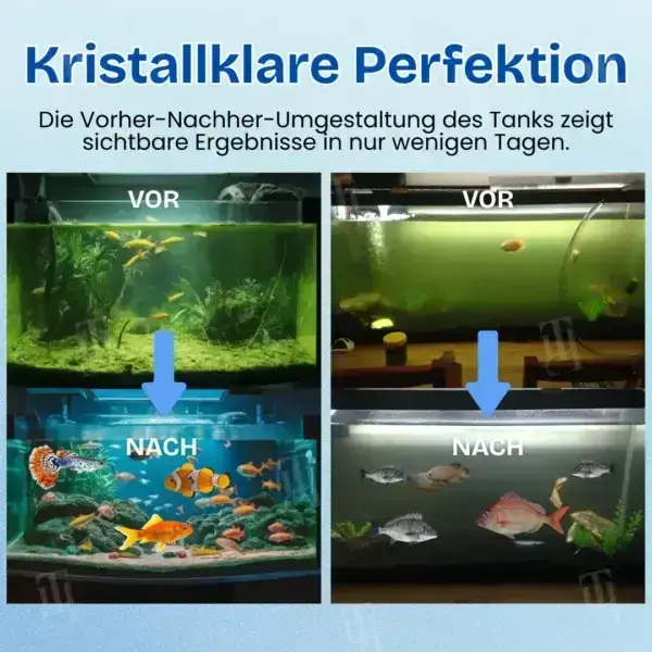 Aquarien Aqua-Guardian Mischung - Image 6