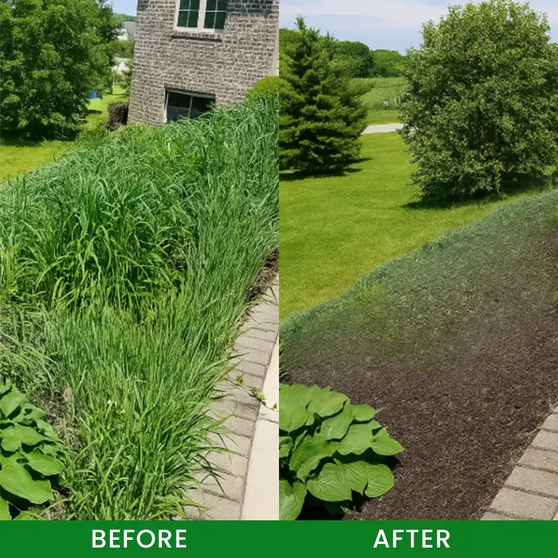 Cyclosinone Herbicide Granules - Image 14