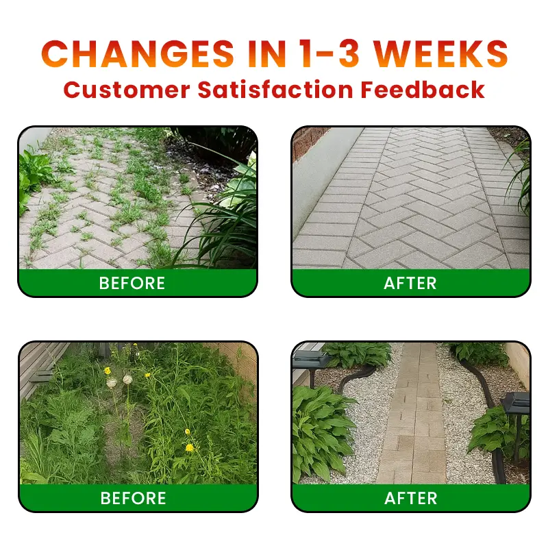 Cyclosinone Herbicide Granules - Image 8