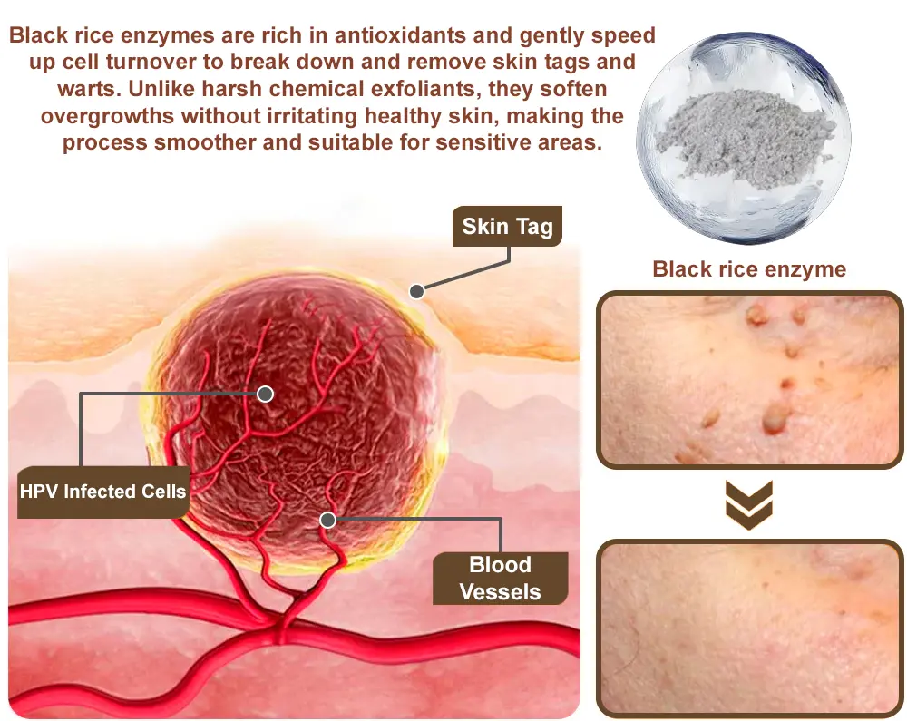 Rice Bran Essence Cream - Image 15