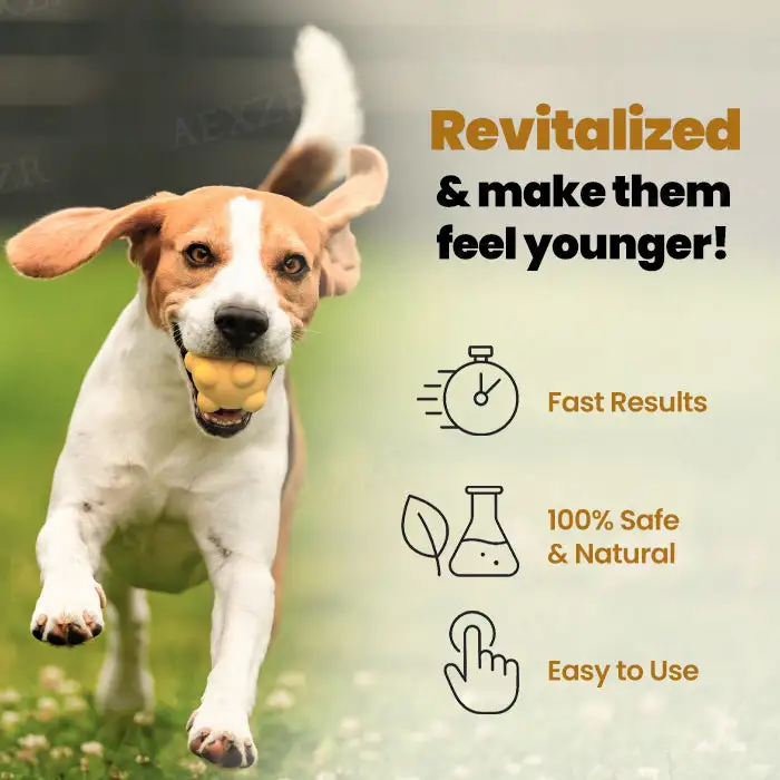 Joint Rejuvenation Drops - Image 4