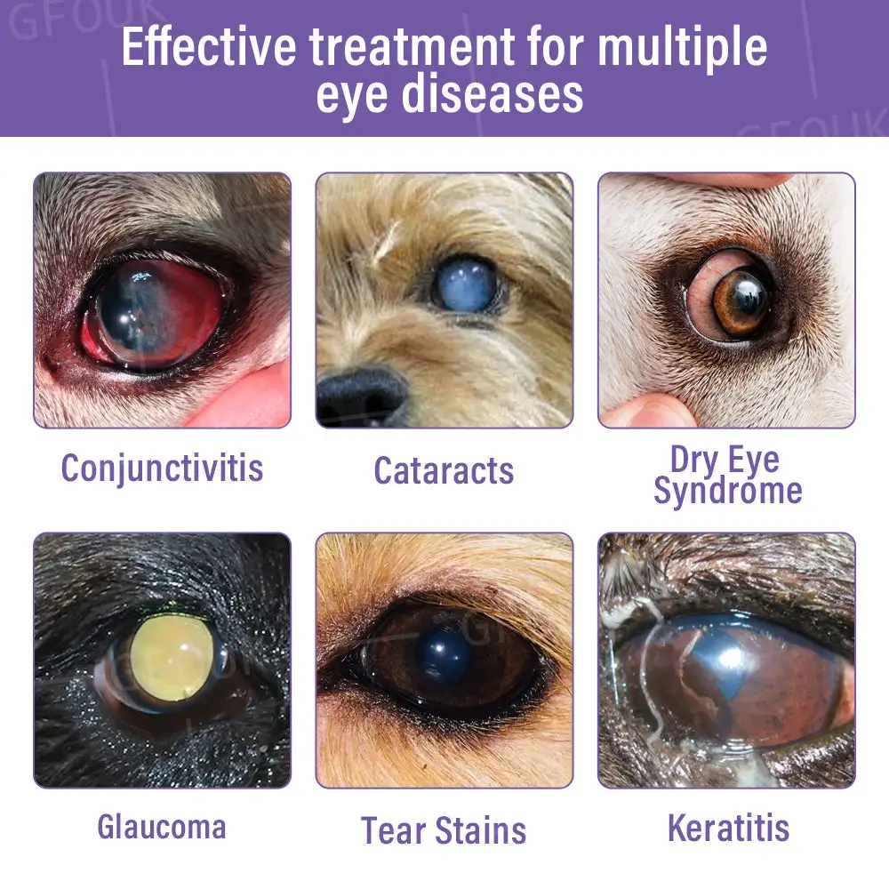 Pet Eye Drops - Image 7