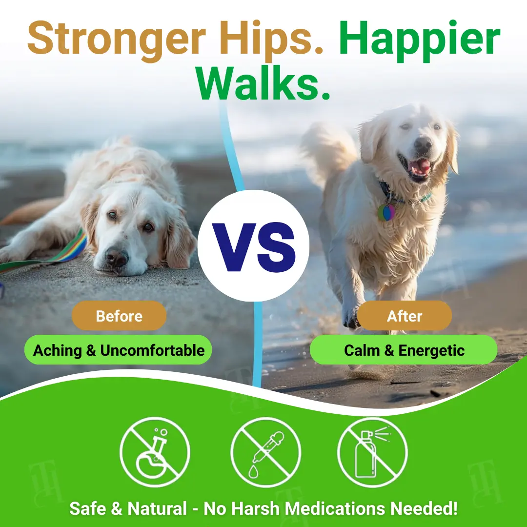 Advanced Hip & Joint Complex Soft Chews | Turmeric + HA + Collagen - Image 6