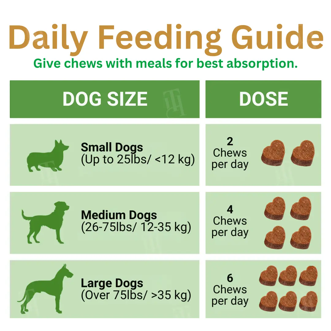 Advanced Hip & Joint Complex Soft Chews | Turmeric + HA + Collagen - Image 7