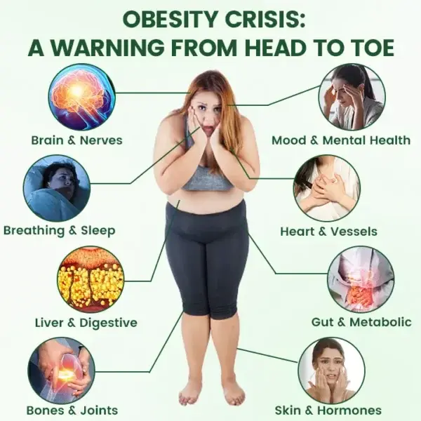 π΄ππππππ Β· π©ππππππππ + π΅π¨π«+ 10-ππ-1 π΅πππ π΄ππππππππ
ππ π·ππππ - Image 4