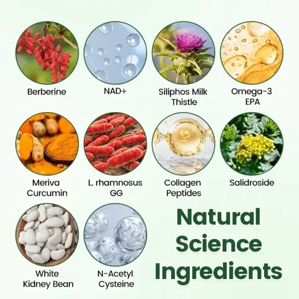 π΄ππππππ Β· π©ππππππππ + π΅π¨π«+ 10-ππ-1 π΅πππ π΄ππππππππ
ππ π·ππππ - Image 8