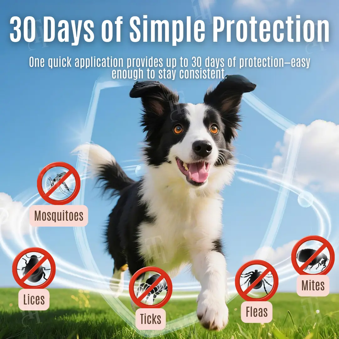 30-Day Flea & Tick Protection Drops - Image 3