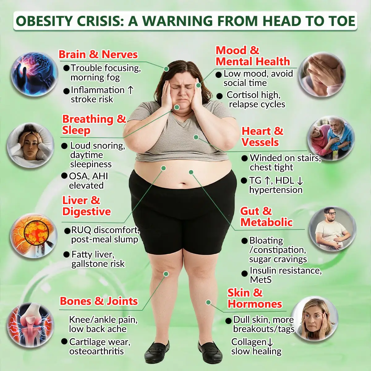 𝑀𝑜𝑟𝑖𝑛𝑔𝑎 · 𝐵𝑒𝑟𝑏𝑒𝑟𝑖𝑛𝑒 × 𝑁𝐴𝐷+10-𝑖𝑛-1 𝐴𝑑𝑣𝑎𝑛𝑐𝑒𝑑 𝑁𝑎𝑛𝑜 𝑀𝑖𝑐𝑟𝑜𝑛𝑒𝑒𝑑𝑙𝑒 𝑃𝑎𝑡𝑐ℎ - Image 4