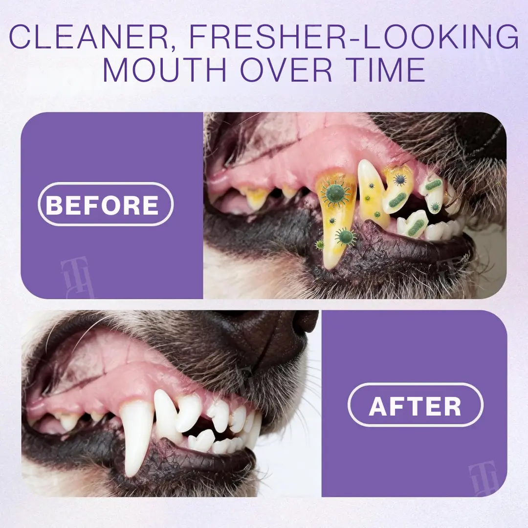 Pet Zinc-Gluconate Oral Spray - Image 2