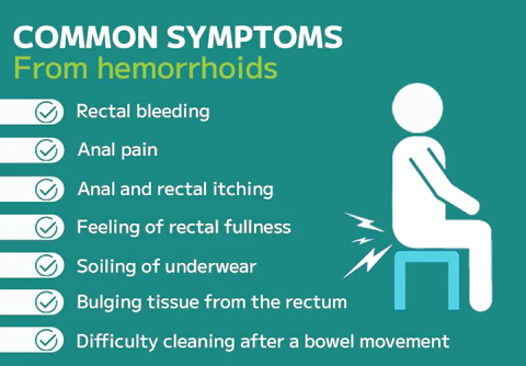 Natural Herbal Strength Hemorrhoid Capsules - Image 5