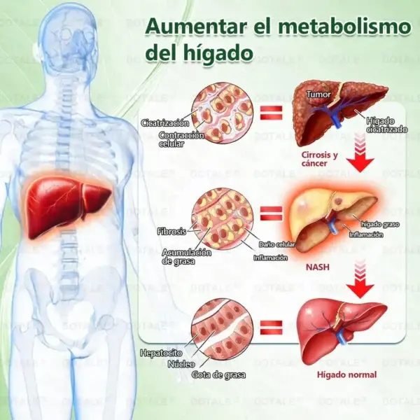 Parche de Microagujas Nano Avanzado 10 en 1 con Moringa Berberina y NAD+ - Image 13