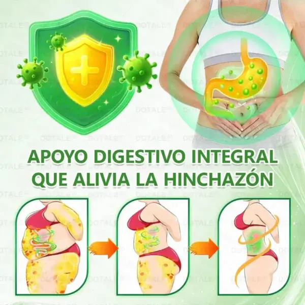 Parche de Microagujas Nano Avanzado 10 en 1 con Moringa Berberina y NAD+ - Image 16