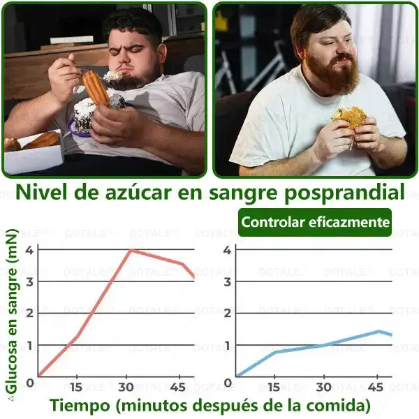 Parche de Microagujas Nano Avanzado 10 en 1 con Moringa Berberina y NAD+ - Image 4