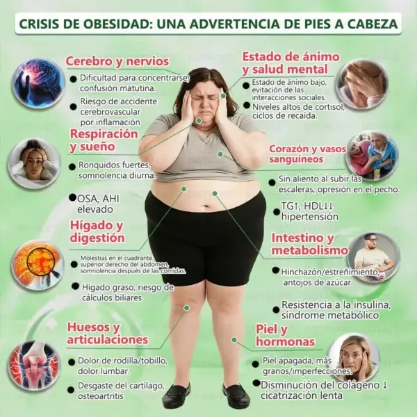 Parche de Microagujas Nano Avanzado 10 en 1 con Moringa Berberina y NAD+ - Image 8