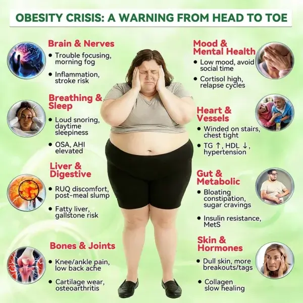 20-IN-1 Advanced Nano Microneedle Patch Moringa × Berberine × NMN/NAD+ Multi-Action Formula - Image 6