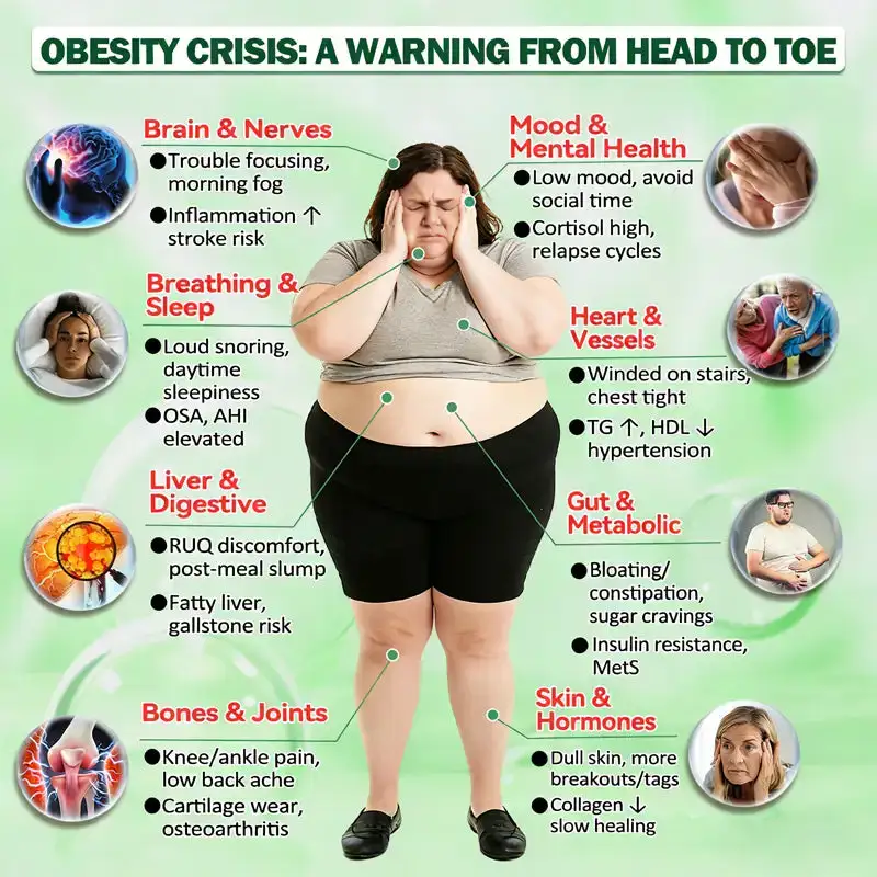 10-in-1 Weight Loss Patch: Boost Metabolism & Burn Fat (NAD+ & Berberine) - Image 4