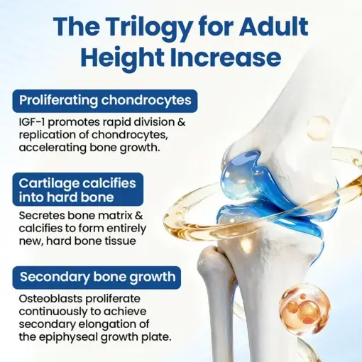GH-Support Height Spray - Image 3