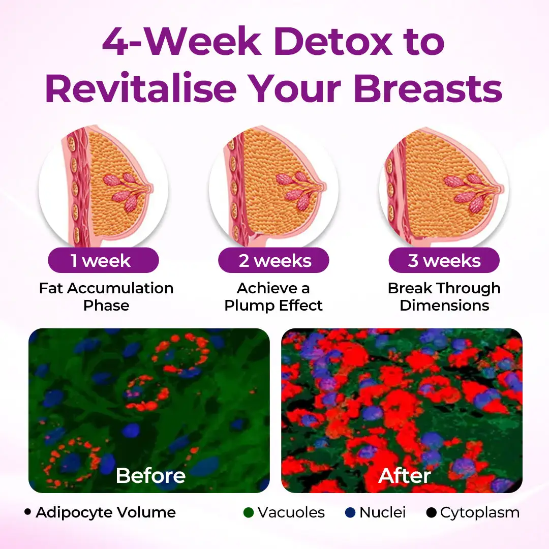 MaxCurve Sculpting & Volumizing Bust Oil - Image 7