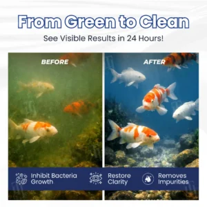 Alternative view of 24H Max-Clear Bio-Engine